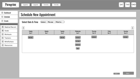 Date and time selector of Peregrine