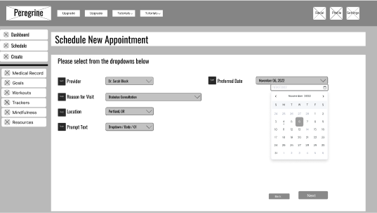 New appointment screen of Peregrine